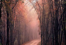 足球——中乙:甘肃职业足球再启.