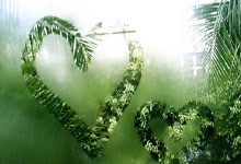 中国女排新任主帅选聘工作启动.