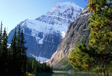 明天绿军客战灰熊 杰伦-布朗因右膝撞击伤出战成疑.